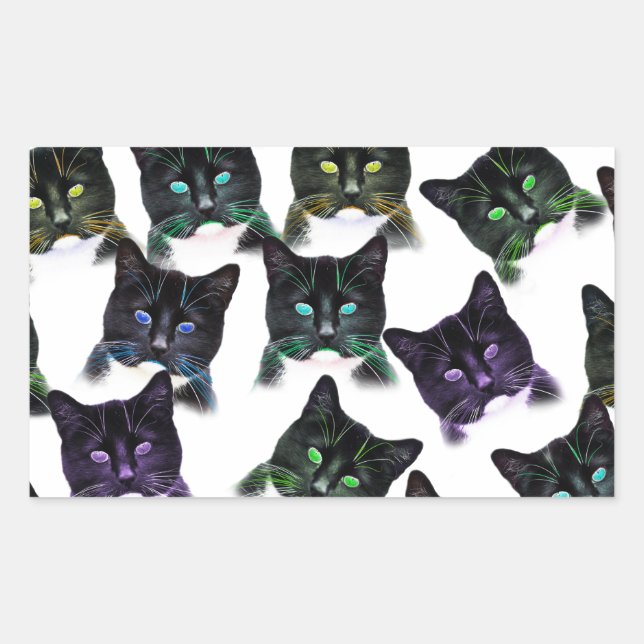 Cool Cats Rectangular Sticker (Front)
