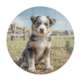 Cool Cattle Dog Peronalized Glass Cutting Board