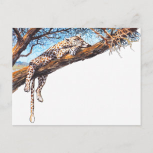 Cool cheetah postcard