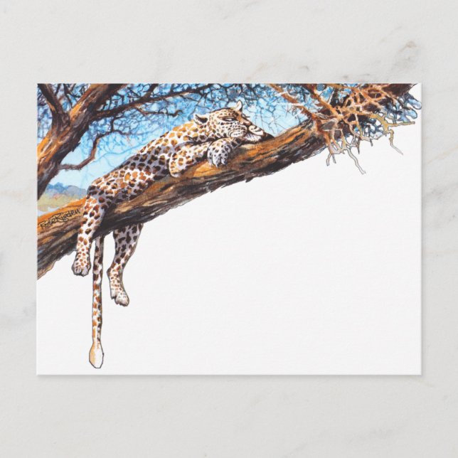 Cool cheetah postcard (Front)