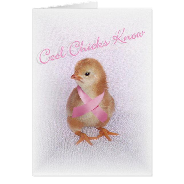 Cool Chicks Know (Front)