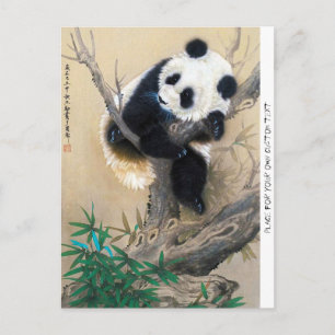 Cool chinese cute sweet fluffy panda bear tree art postcard