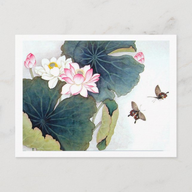 cool chinese lotus leaf pink flower butterfly art postcard (Front)