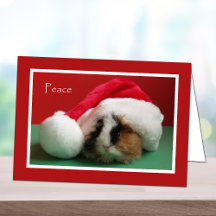 Cool Christmas Guinea Pig Card