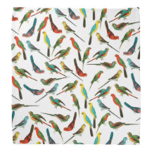 Cool colourful tropical watercolor birds pattern