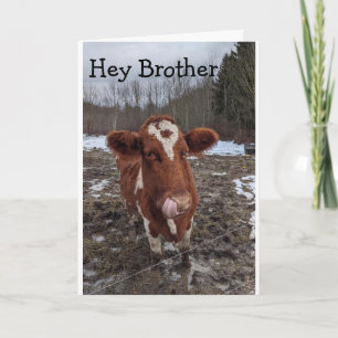 COOL COW SAYS "HAPPY BIRTHDAY BROTHER" CARD