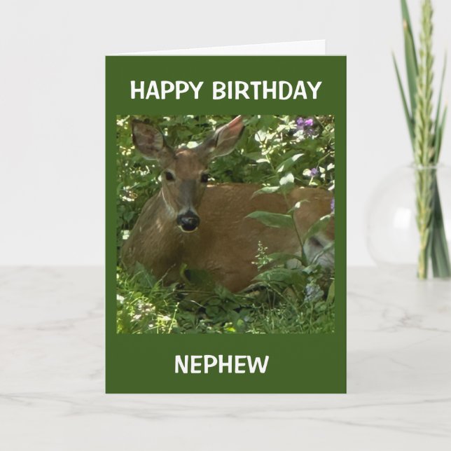 **COOL DEAR** SAYS HAPPY BIRTHDAY NEPHEW CARD (Front)