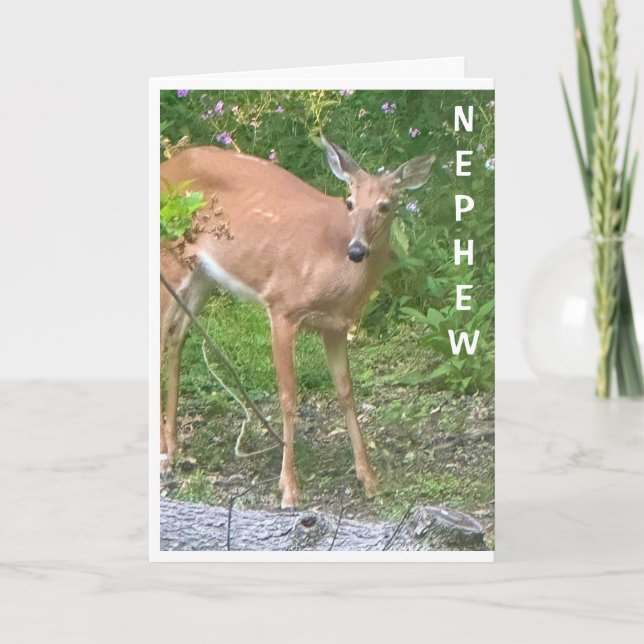 **COOL DEAR** SAYS HAPPY BIRTHDAY NEPHEW CARD (Front)