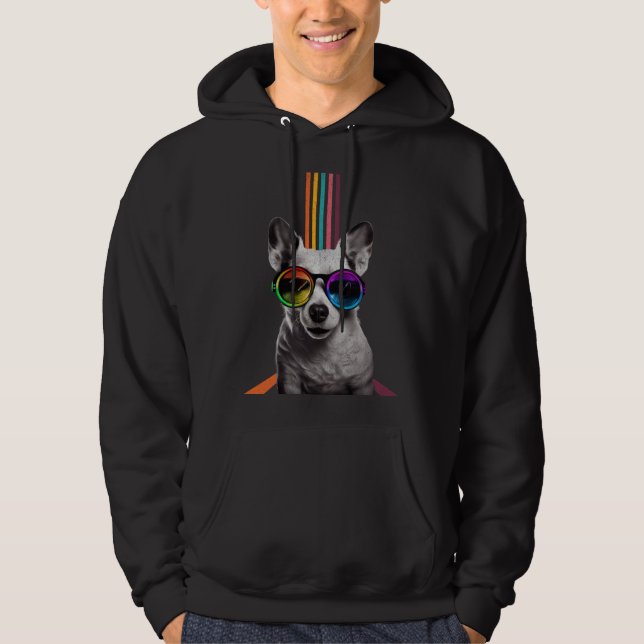 Cool DJ Rainbow Dog Beautiful Dogs  Men Women Hoodie (Front)