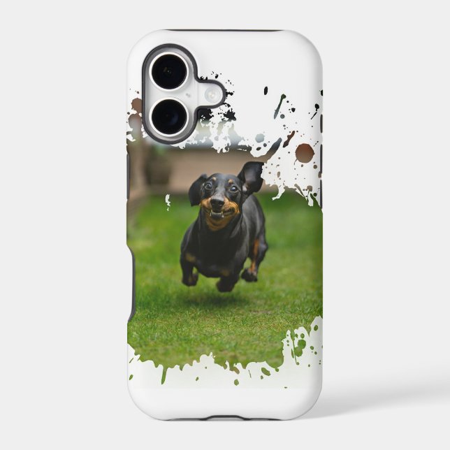 Cool Dog Artwork (Back)