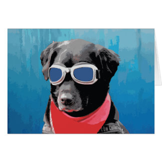 Cool Dog Black Lab Red Bandanna Blue Goggles