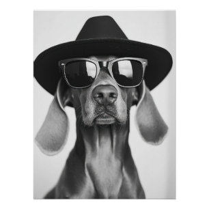 Cool Dog Portrait - Weimaraner in Hat and Sunglass Poster