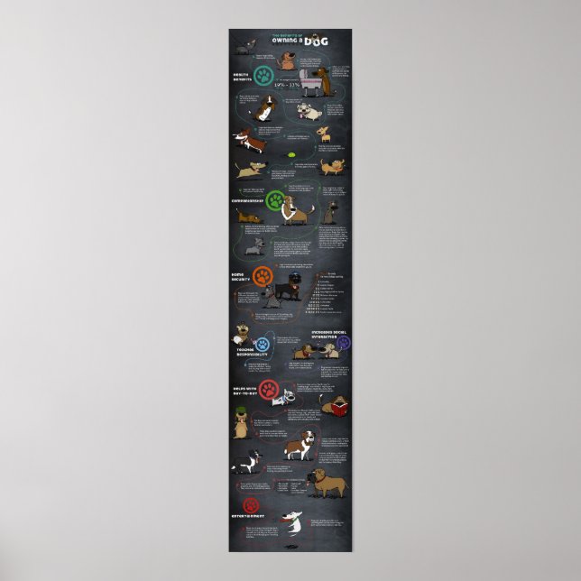 Cool Dog Poster (Front)