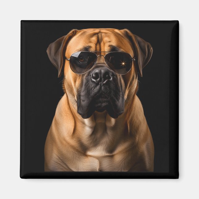 Cool Dog Sungles Bullmastiff Funny Look  Magnet (Front)