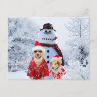 Cool Dogs and Snowman