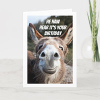 **COOL DONKEY SAYS "HAPPY BIRTHDAY" BROTHER