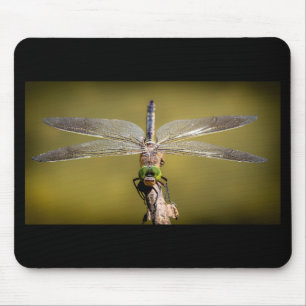 Cool Dragonfly Mouse Mat