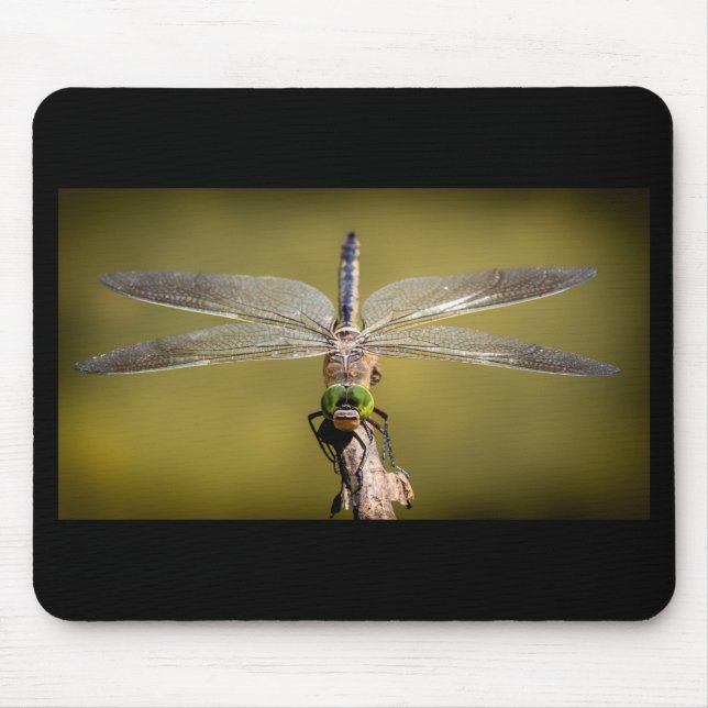 Cool Dragonfly Mouse Mat (Front)