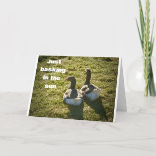 COOL DUCKS ARE SO HAPPY FOR YOU ON *40th* Card