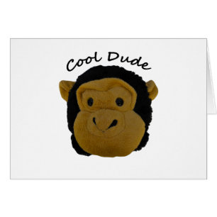 Cool Dude