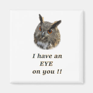 Cool eagle owl magnet