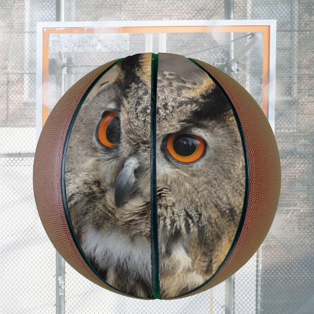 Cool eagle owl photography basketball (Creator Uploaded)