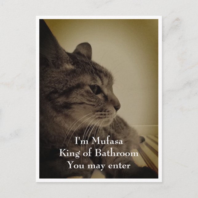 Cool & Funny Bathroom Welcome Postcard (Front)
