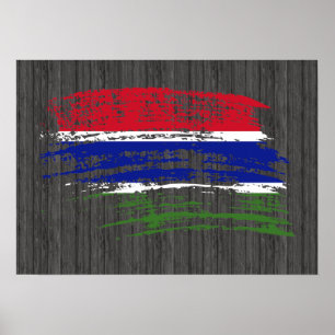 Cool Gambian flag design Poster