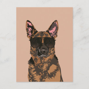 Cool German Shepherd for German Shepherd Lovers Postcard