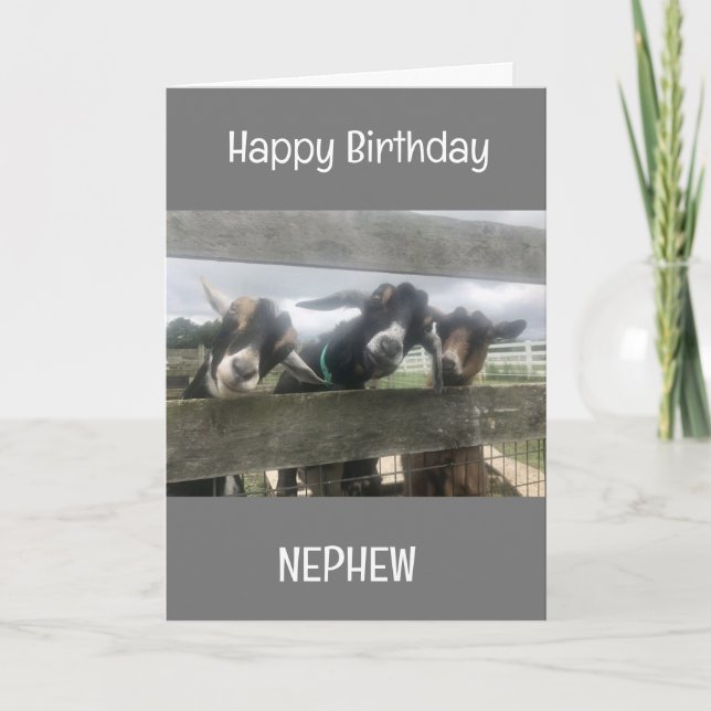**COOL GOATS** SAY HAPPY BIRTHDAY NEPHEW CARD (Front)