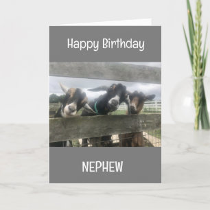 **COOL GOATS** SAY HAPPY BIRTHDAY NEPHEW CARD