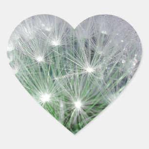 Cool green and white dandelion with waterdrops heart sticker