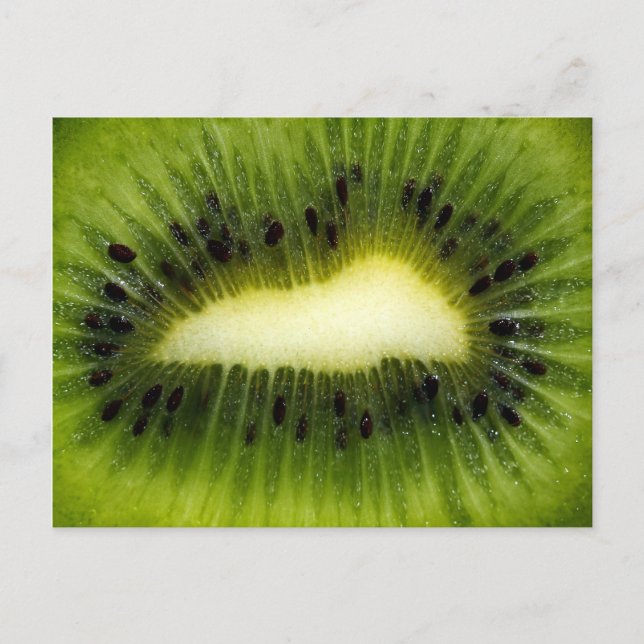 Cool Green Kiwi Fruit Postcard (Front)