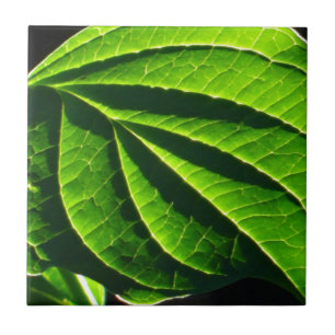 Cool green leaf tile