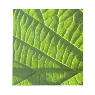Cool green leafprint notepad