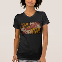 Cool Grunge Maryland Flag