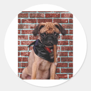 Cool Hand Pug Classic Round Sticker