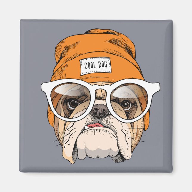 Cool Hipster Bulldog Magnet (Front)