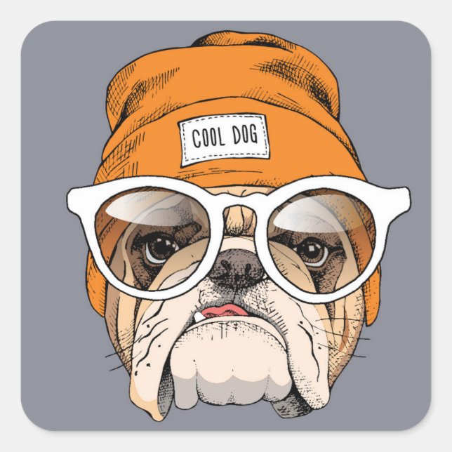Cool Hipster Bulldog Square Sticker (Front)