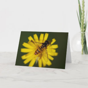 Cool Honey Bee on Flower in Nature Photography Card