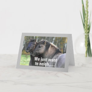 COOL HORSES ARE NEIGHING "HAPPY BIRTHDAY" CARD
