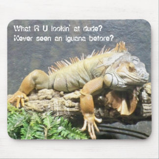 Cool Iguana Mouse Mat