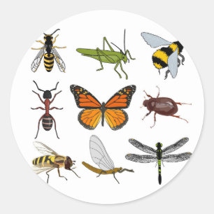 Cool Insect Round Sticker