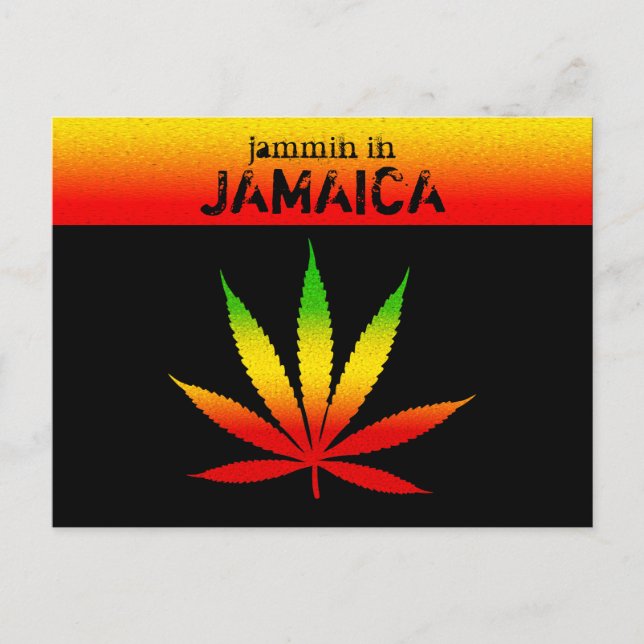 Cool Jammin in Jamaica Reggae Rasta Postcard (Front)