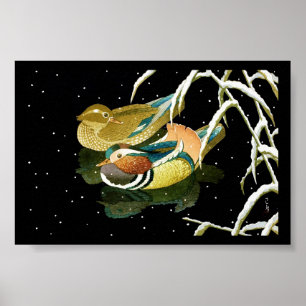 Cool japanese mandarina duck black pond snow poster