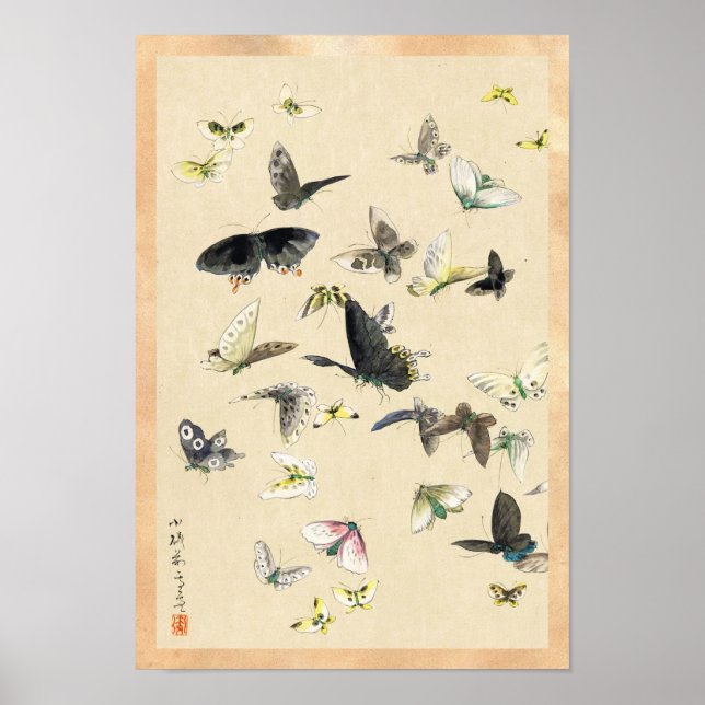 Cool japanese vintage ukiyo-e butterfly scroll poster (Front)
