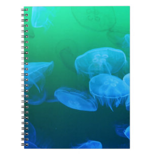 Cool Jellyfish Green Blue Gradient Notebook