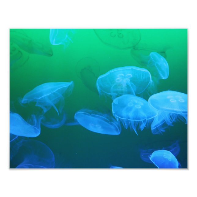 Cool Jellyfish Green Blue Gradient Photo Print (Front)
