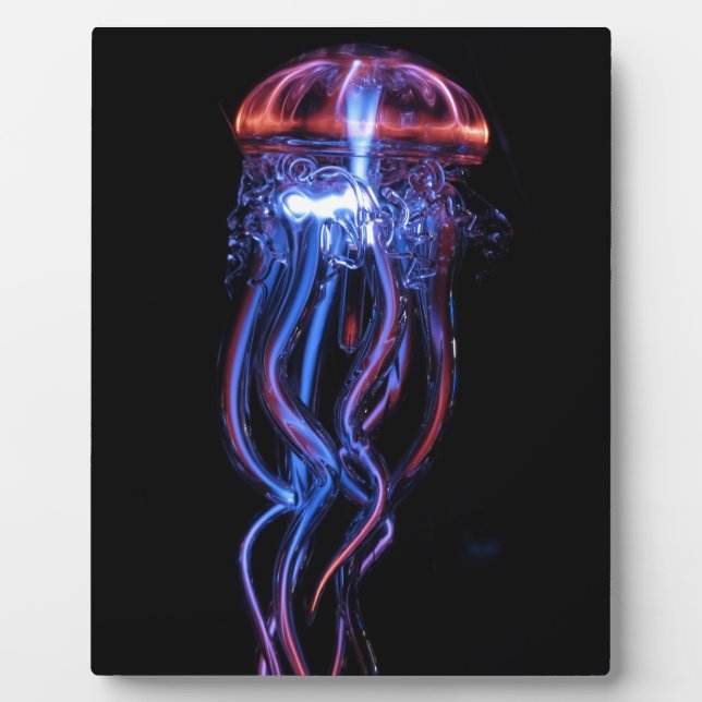 Cool Jellyfish Luminous Light Phenomeno Plaque (Front)