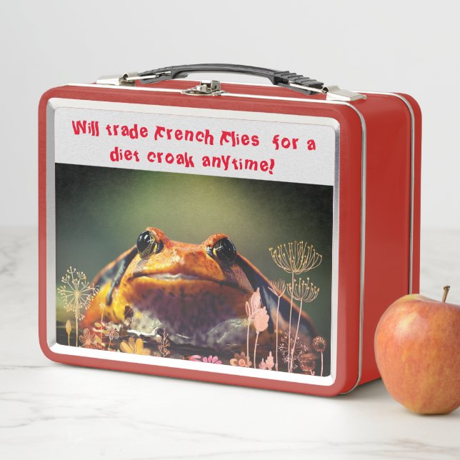 Cool Kid Lunch Metal Lunch Box (In Situ)